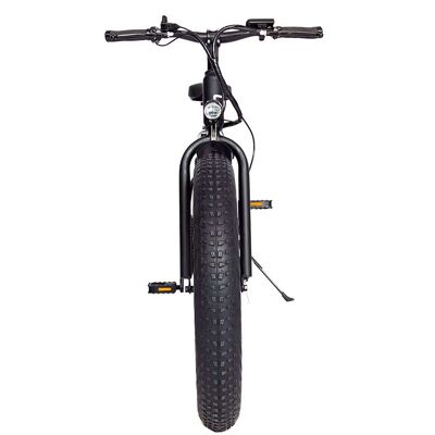 Bici elettrica Skateflash FAT