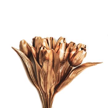 HV 12 Tulipes dorées - 20x40 cm - Polystérène 3