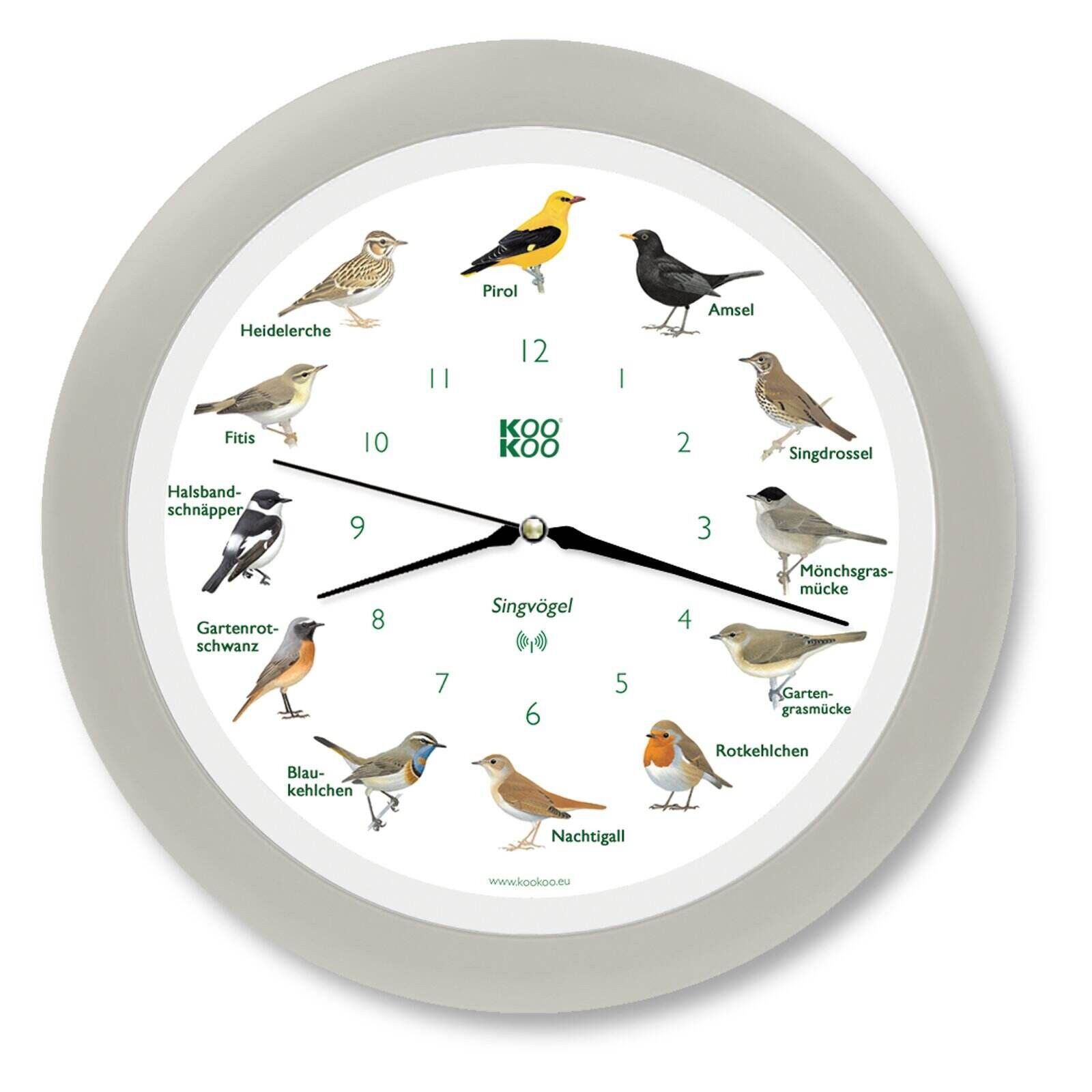 KooKoo Singvögel Silk-Grey (RC)