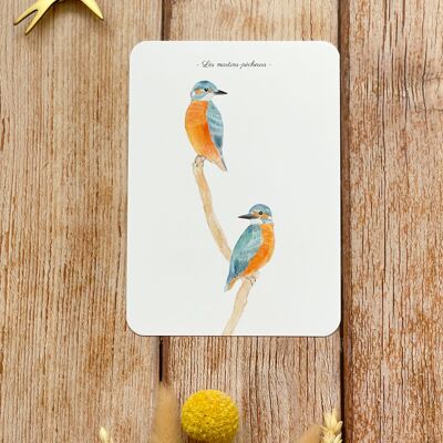 Aquarellpostkarte Eisvögel mit Umschlag