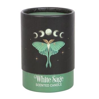 Bougie à la sauge blanche Luna Moth 5