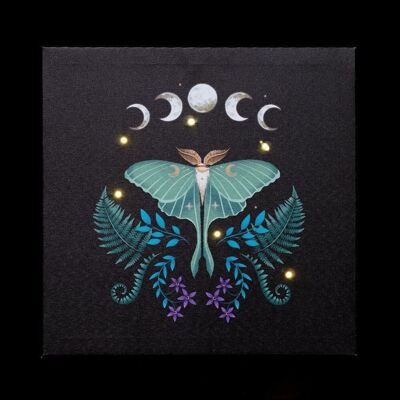 Leuchtende Leinwandtafel „Luna Moth“.