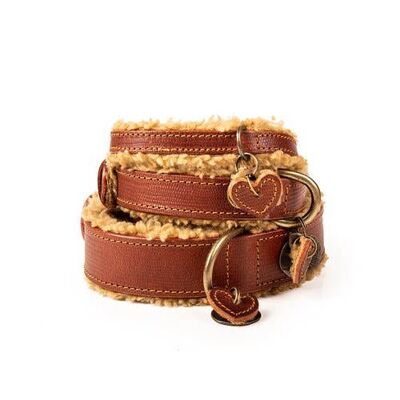 Hondenhalsband Urban TEDDY