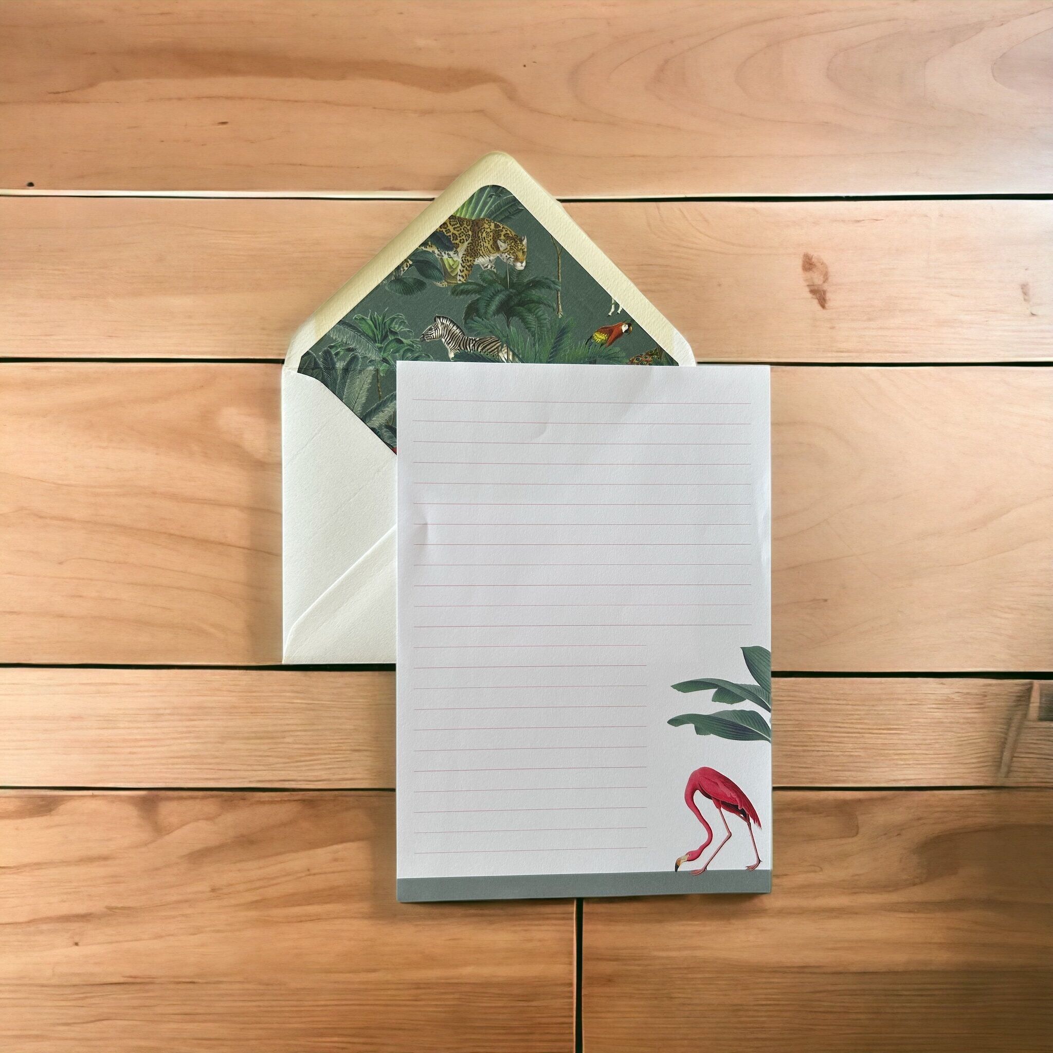 Compendio della carta da lettere del fenicottero del serraglio di Darwin