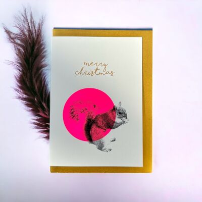 Bulle écureuil rose