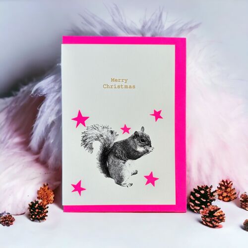 Squirrel Stars pink
