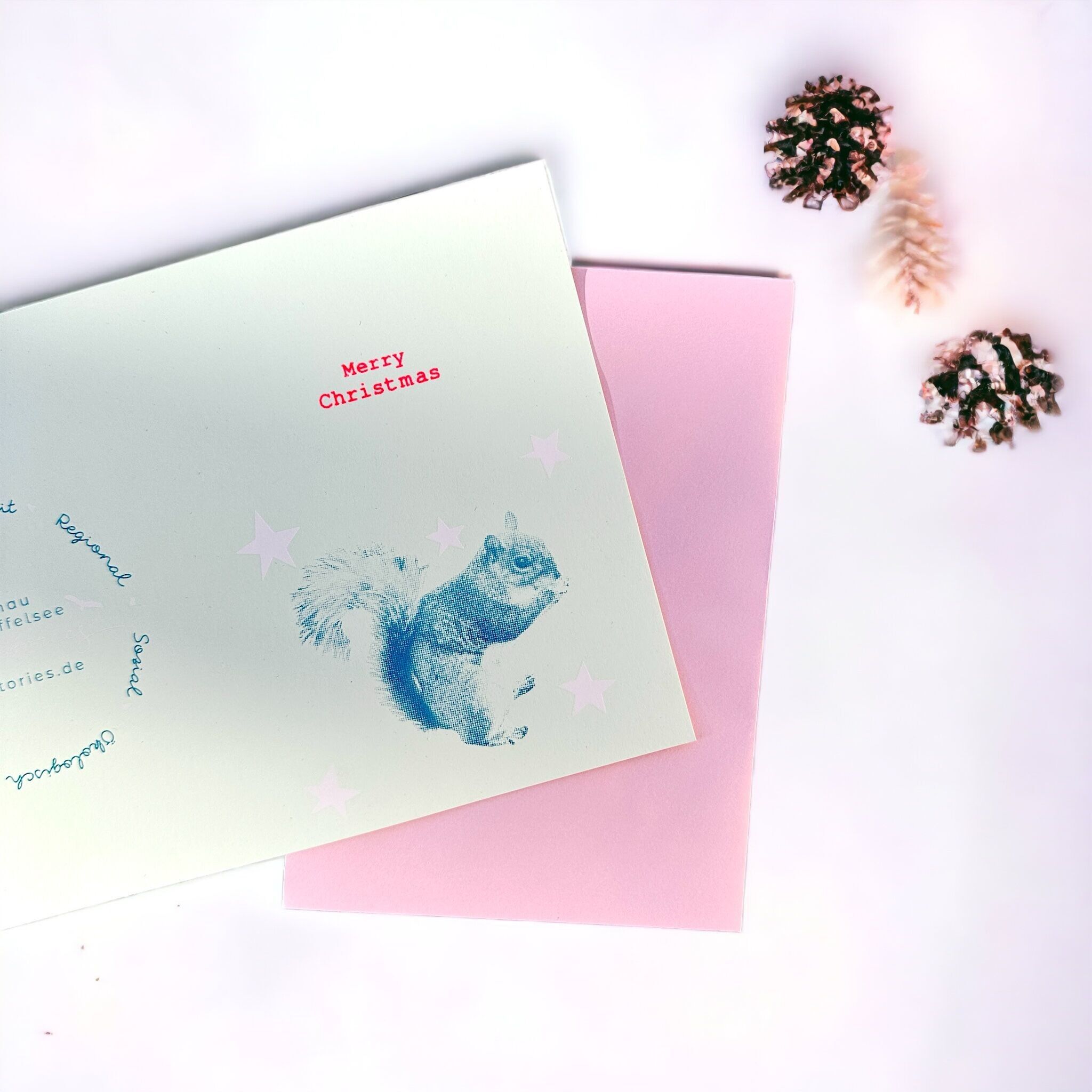 Bubblegum étoiles écureuil