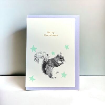 Squirrel Stars mint