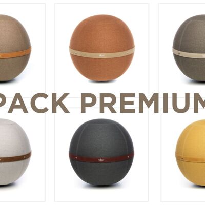 PACK PREMIUM (6 sièges)