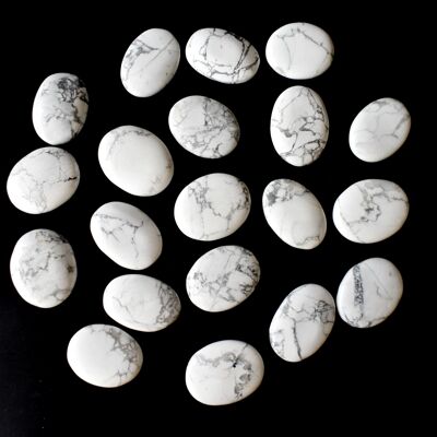 Pietra di palma Howlite, Pietra di palma naturale, Pietre tascabili di cristallo