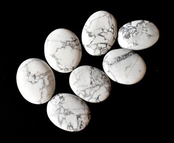 Howlite Palm Stone, Natural Palm Stone, Crystal Pocket stones 3