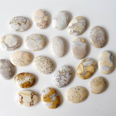 Conglomerate Palm Stone, Natural Palm Stone, Pocket Stone