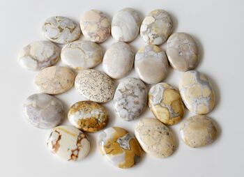 Conglomerate Palm Stone, Natural Palm Stone, Pocket Stone 5
