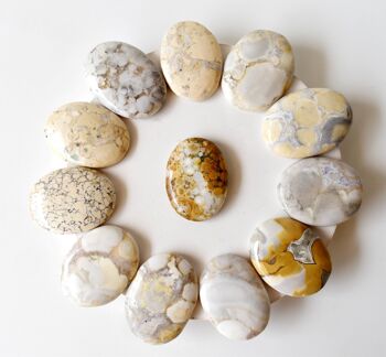 Conglomerate Palm Stone, Natural Palm Stone, Pocket Stone 6