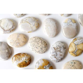 Conglomerate Palm Stone, Natural Palm Stone, Pocket Stone 7