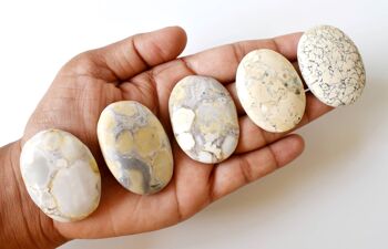Conglomerate Palm Stone, Natural Palm Stone, Pocket Stone 9