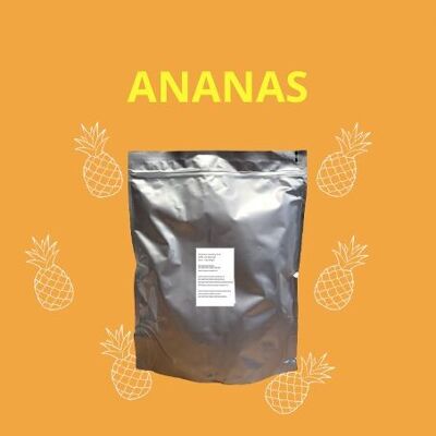 Gefriergetrocknete Bio-Ananas BULK