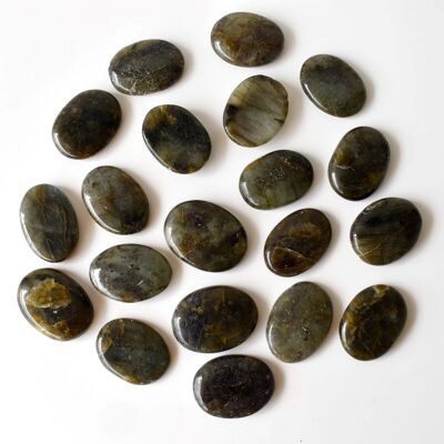 Pietra di palma labradorite lucida, pietra tascabile