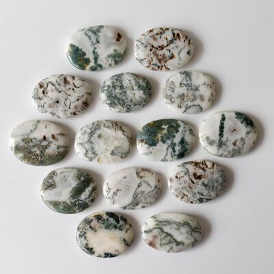 Polished Tree Agate Palm Stone, Pocket Stone