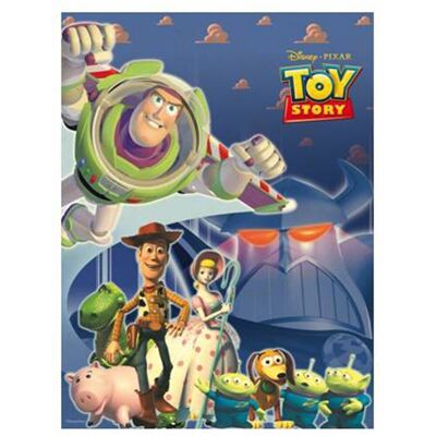 Toy Story Cuadro lienzo 4 modelos 22x30
