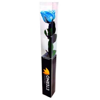 Rosa Preservada en blister Tallo 55 cm Azul Claro