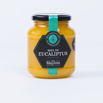 Raw Eucalyptus Honey