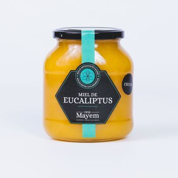 Miel d'eucalyptus cru 2