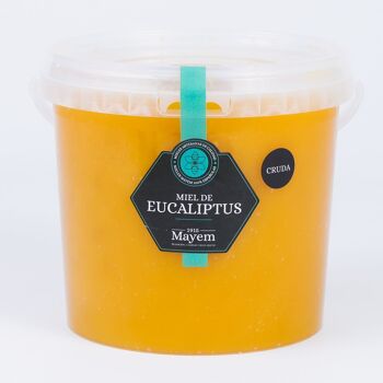 Miel d'eucalyptus cru 4