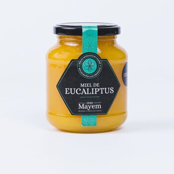 Miel d'eucalyptus cru 7