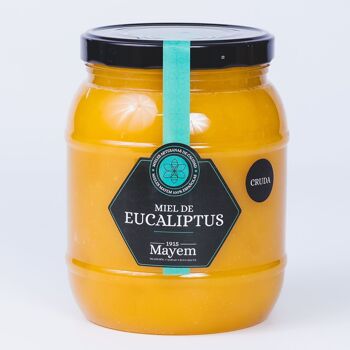 Miel d'eucalyptus cru 9