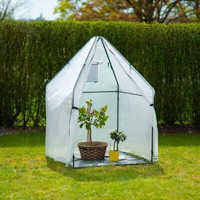 Westmann winter tent & foil greenhouse Chili | White | 120x120x180cm