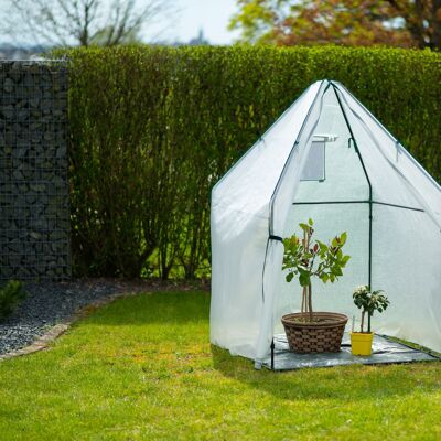 Westmann winter tent & foil greenhouse Chili | White | 120x120x180cm