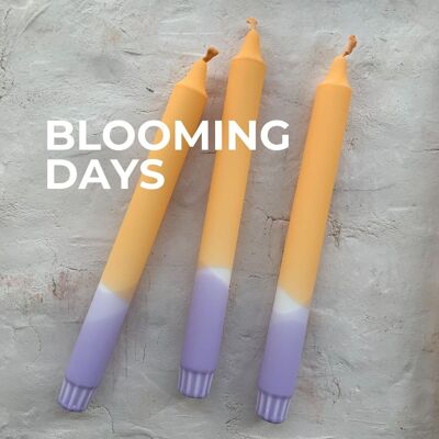 Dip Dye Kerzen im 3er-Set / handgefärbte Stabkerzen „BLOOMING DAYS”