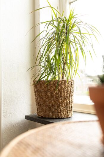 Panier Seagrass Oval (panier de rebord de fenêtre, panier à plantes, panier de rangement,) 1