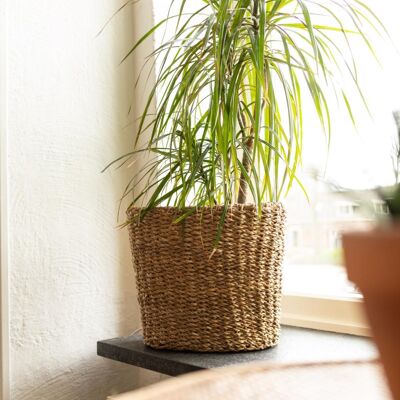 Cesta de algas marinas ovalada (cesta para alféizar de ventana, cesta para plantas, cesta de almacenamiento)