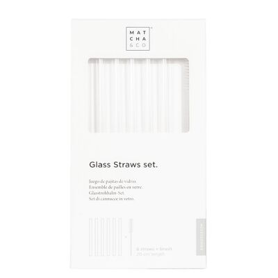 Glass Straws Set