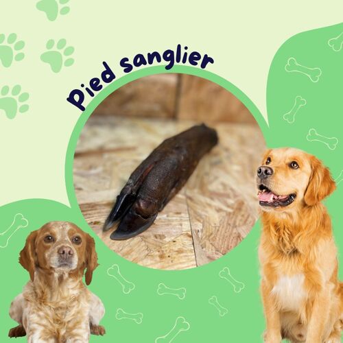 Pied Sanglier  / Friandise chien