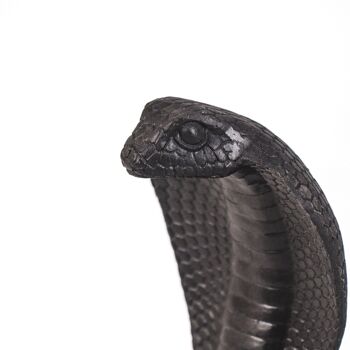 Ornement Serpent HV -Noir- 15x11x19 cm 4