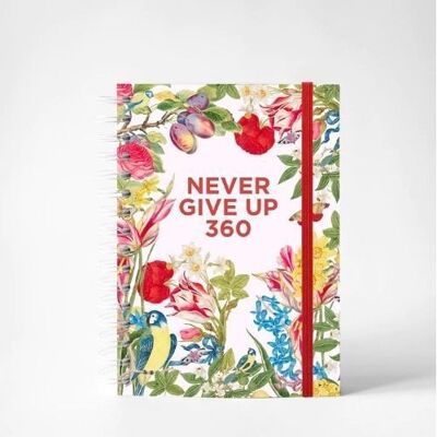Never Give Up - Harmony