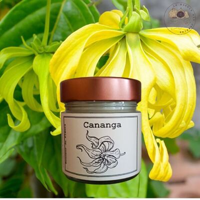 180gr candle Cananga soy and rapeseed waxes