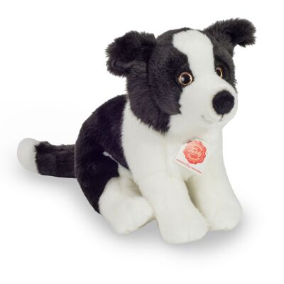 Cucciolo di Border Collie seduto 25 cm - peluche - animale di pezza