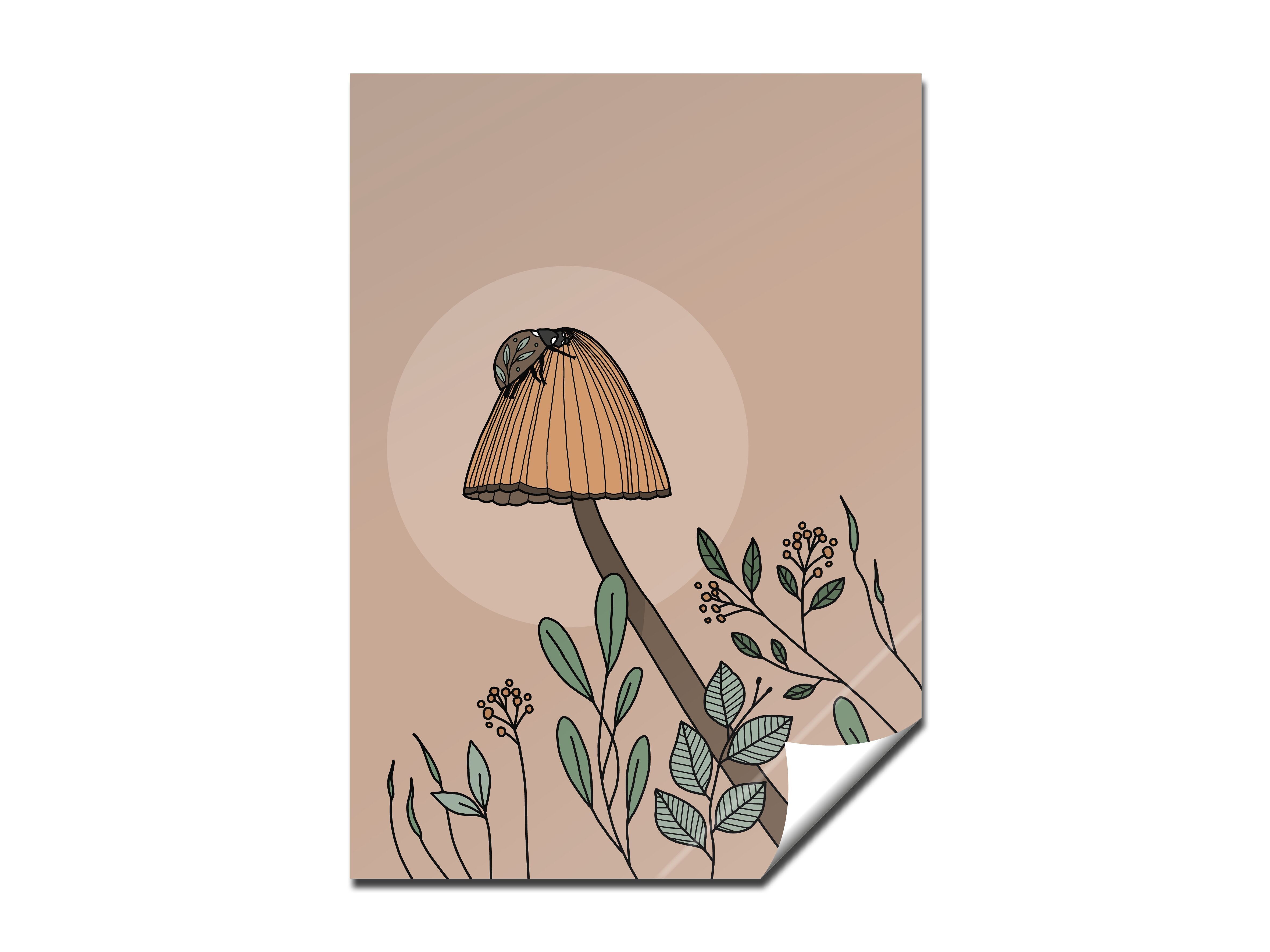 Fungo adesivo, DIN A7