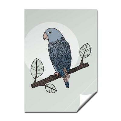 Sticker parrot, DIN A7