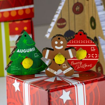 Kit de adornos navideños ecológicos: ¡Haz crecer tu Navidad sostenible con estilo!