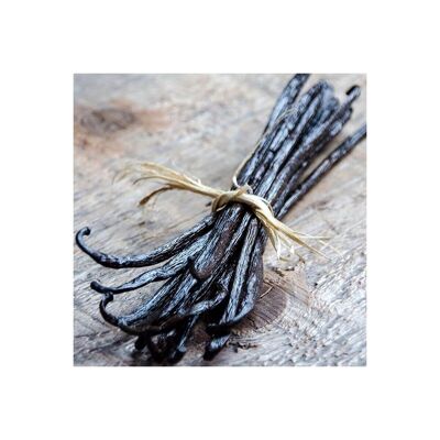 10 Bourbon Vanilla Pods from Madagascar M - Bourbon Gold ® V17