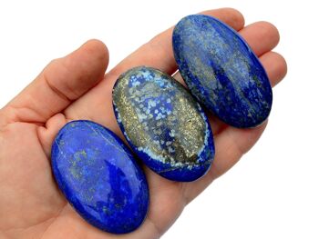 Pierre de palmier lapis lazuli (7-10 pièces) - Lot de 1 kg (45 mm - 80 mm) 9