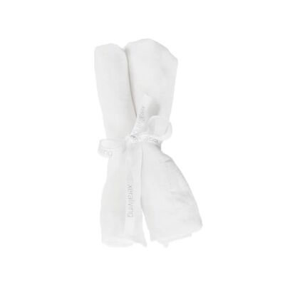 CARLA linen napkins, 40 x 40 cm, 2kpl