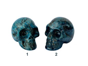 Crâne d'apatite bleue, sculpture de crâne de cristal faite à la main, squelette d'apatite bleue 2