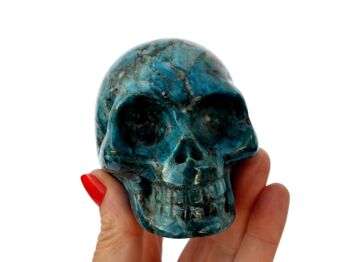 Crâne d'apatite bleue, sculpture de crâne de cristal faite à la main, squelette d'apatite bleue 4