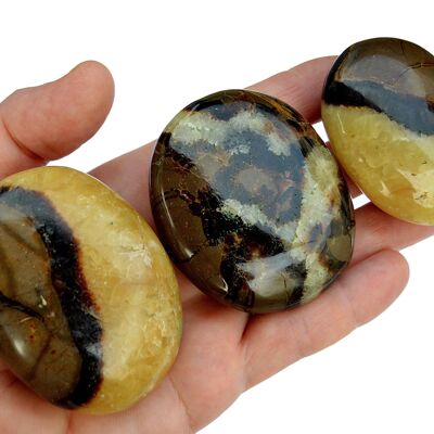 Septarian Palm Stone (40mm - 70mm)